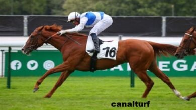 canalturf.