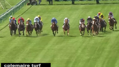 cplemaire turf