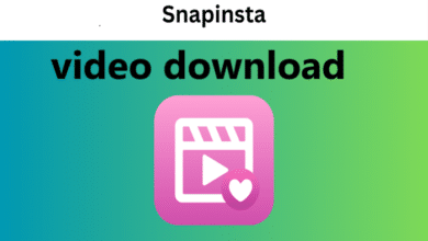 snapinsta video download